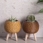 cache pot tressé rotin moderne cactus feuilles vertes marron clair pieds bois durable tissé