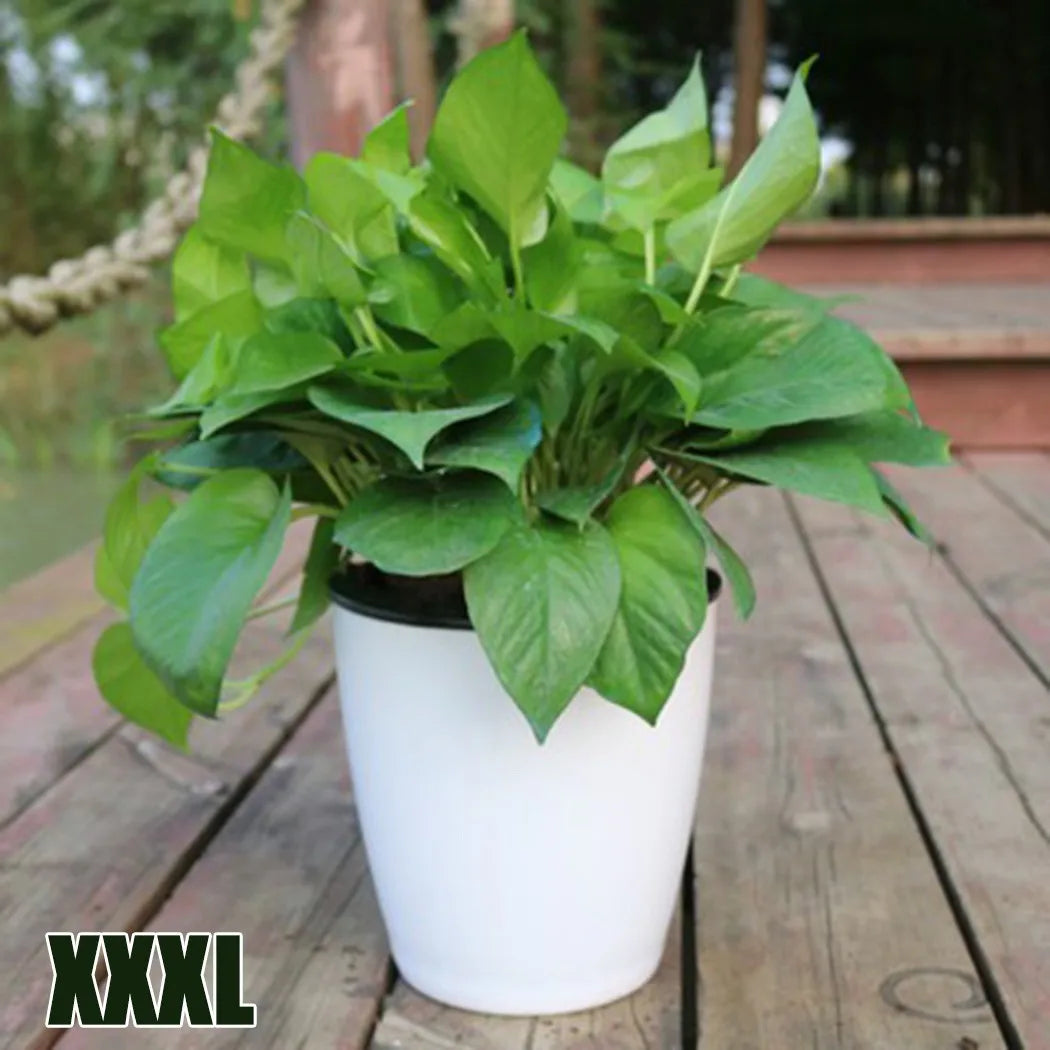 pots fleurs blancs noirs absorption d'eau automatique drainage cordelette moderne lisses