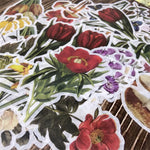 autocollants stickers végétaux fleurs feuilles oiseaux horloges mandalas papillons vintage romantique adhésifs