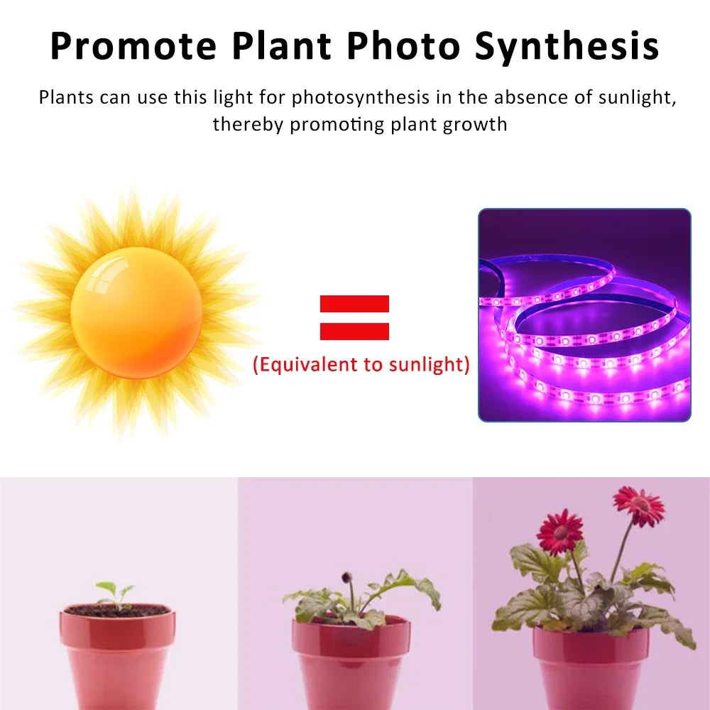 ruban led violet culture végétale adhésif ip65 waterproof moderne 5v 3m 4m 5m