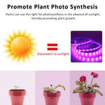 ruban led violet culture végétale adhésif ip65 waterproof moderne 5v 3m 4m 5m