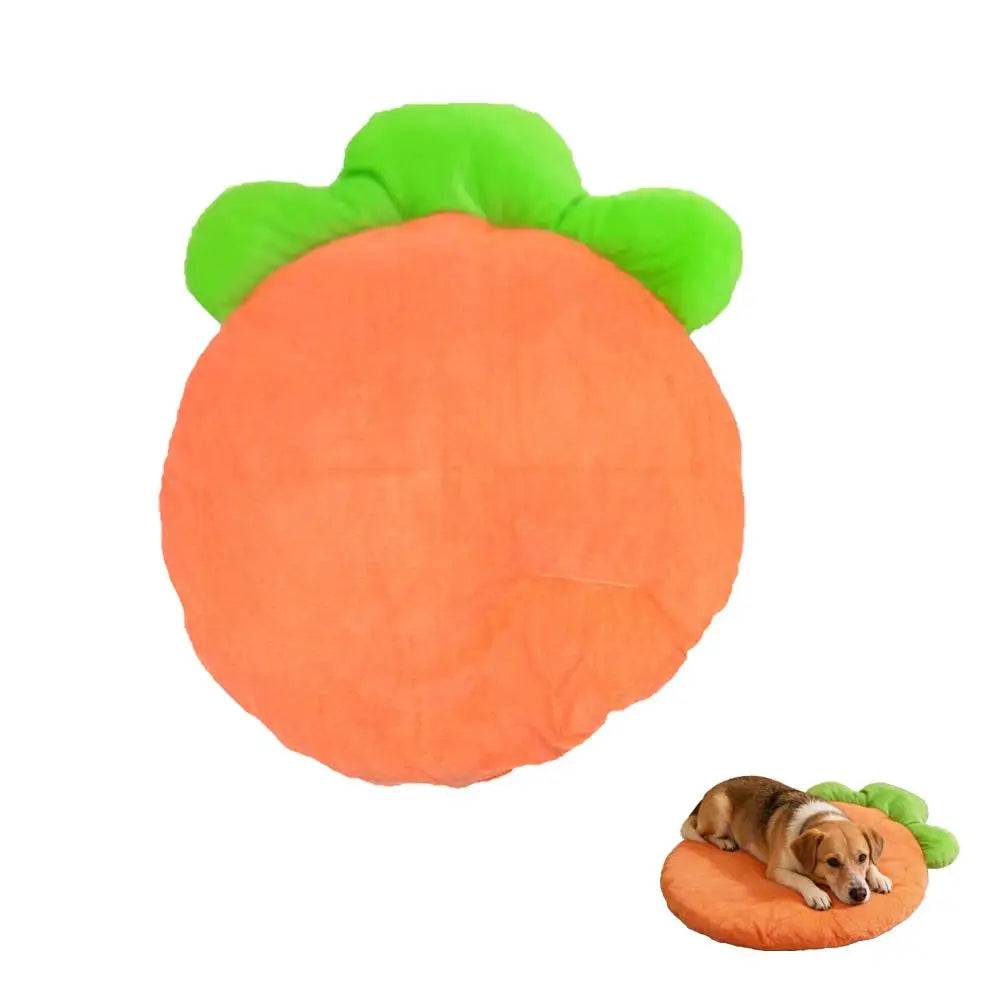 tapis animal compagnie forme carotte doux orange vert ludique décoration poilu