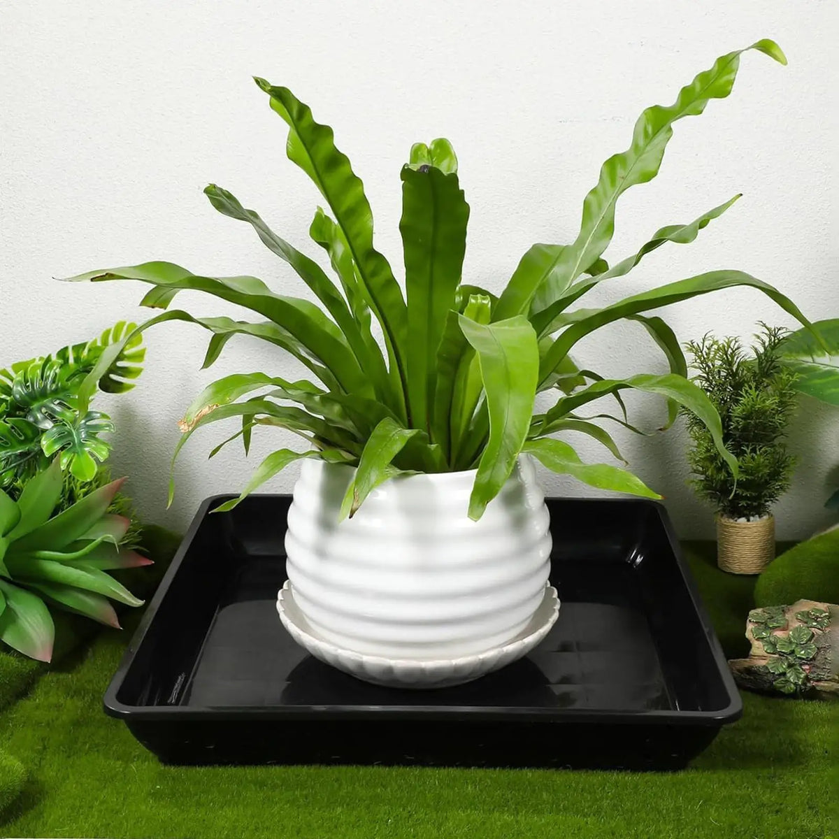 plateau drainage pot fleurs plantes noir blanc moderne minimaliste ondulé entretien extérieurintérieur