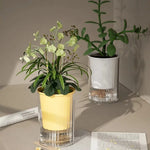 Pot plante moderne transparent jaune vert rose blanc auto arrosage plantes inclusion
