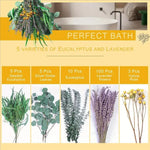 bouquet fleurs séchées naturel eucalyptus lavande vert jaune violet décoration intérieure bohème rustique
