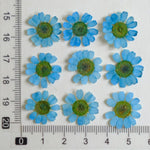 fleurs séchées multicolores bijoux résine décoration ongles maison intérieure artisanal anniversaire naturelles