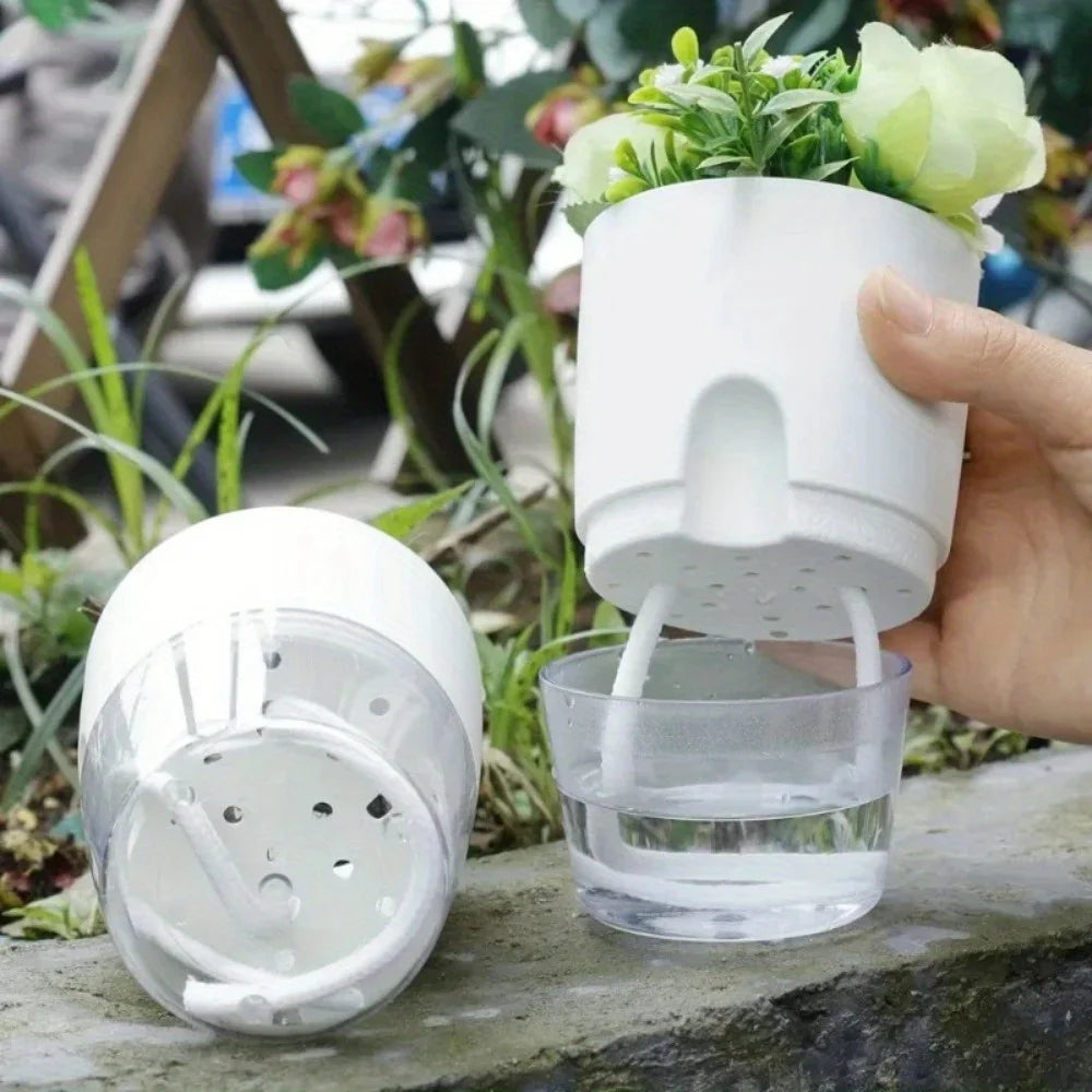 pots fleurs auto arrosage moderne gris blanc transparents plantes vertes dieffenbachia fenêtre niveau eau