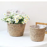 paniers tissés paille rustique boho chic intérieur extérieur stockage fleurs verte naturel