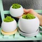 cache pots silicone blanc moderne plateau assorti cache pots beige minimaliste texture lisse
