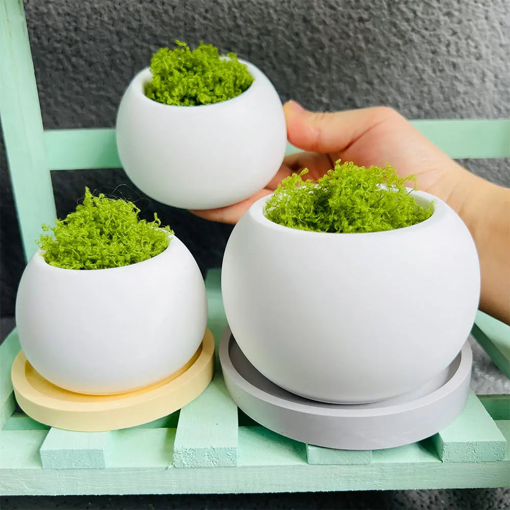 cache pots silicone blanc moderne plateau assorti cache pots beige minimaliste texture lisse