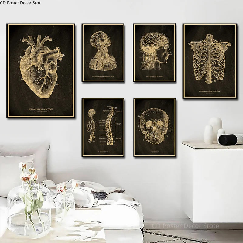 affiche anatomie humaine vintage squelette coeur cerveau cadre doré décoration murale médecine rétro
