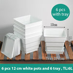 pots plantes plastique moderne blanc cactus succulents lithops drainage decoration maison