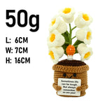 plantes crochet décoratives pots fleurs artisanales couleur blanc vert marron rose jaune bleu