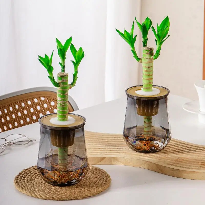 pots transparents plantes artificielles feuilles vertes moderne minimalisteintérieur adhésif base bois visibleDecorationFenetre