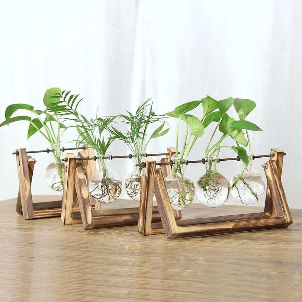 support plantes verre transparent bois clips métalliques moderne rustique décoration intérieure vases hydroponie