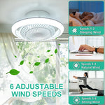 ventilateur moderne lumière télécommande variateur intensité ampoules led blanc grille