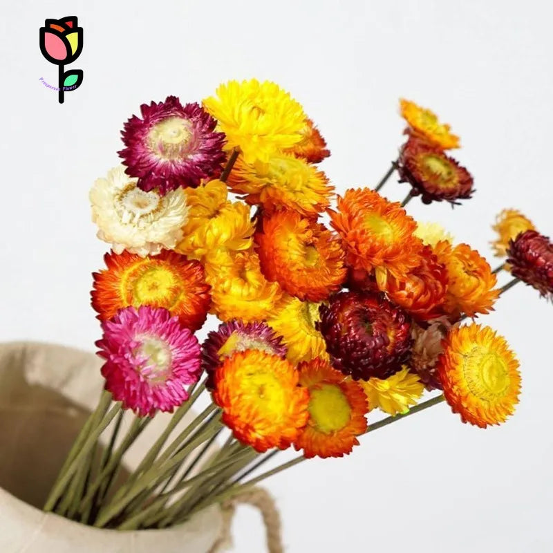 fleurs séchées marguerites tournesols orange jaune rustique décoration maison anniversaire baby shower événements
