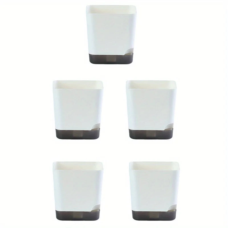 pots fleurs succulentes cactus blanc noir moderne mini jardinière plantes vert rouge violet gris