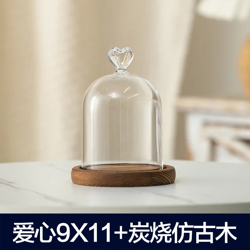 cloche verre transparent base bois bougie parfumée pinçon décoratives