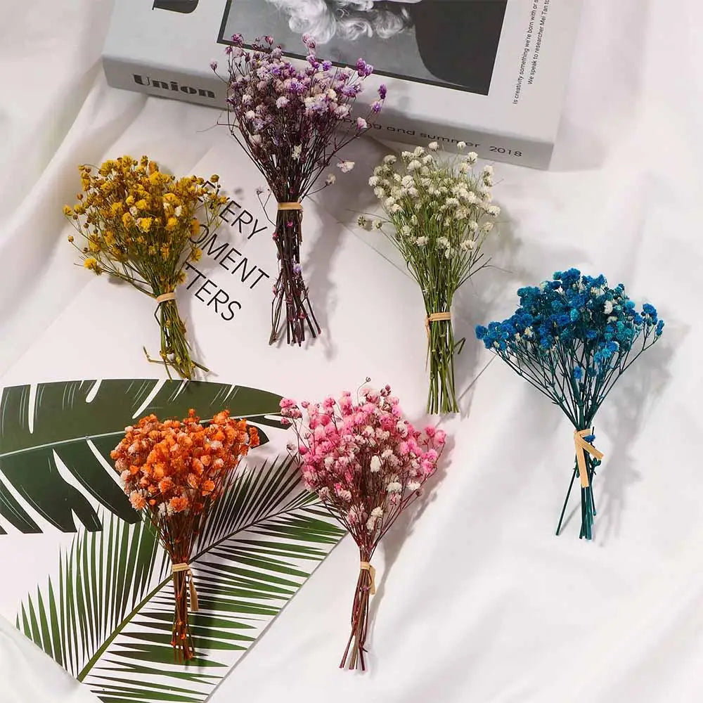 bouquets fleurs séchées violet blanc jaune orange bleu rose minimaliste intérieur décoration maison anniversaire