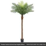 palmier artificiel décoration intérieure vert feuilles fines tronc épais moderne pot 240cm haute