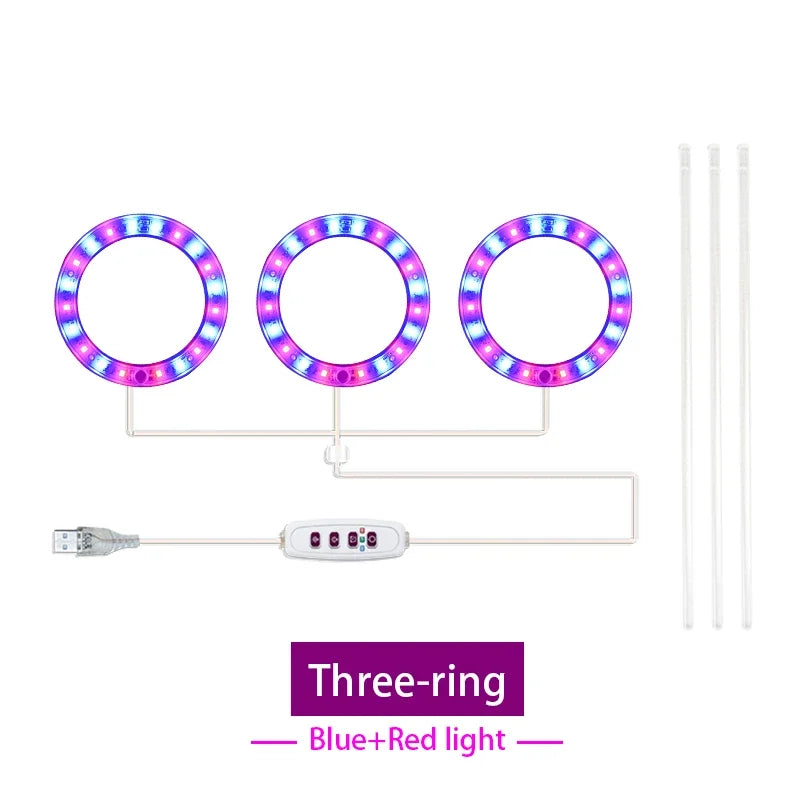 anneaux lumineux led croissance plantes intérieures blanc rose bleu rouge moderne minuterie usb rechargeable