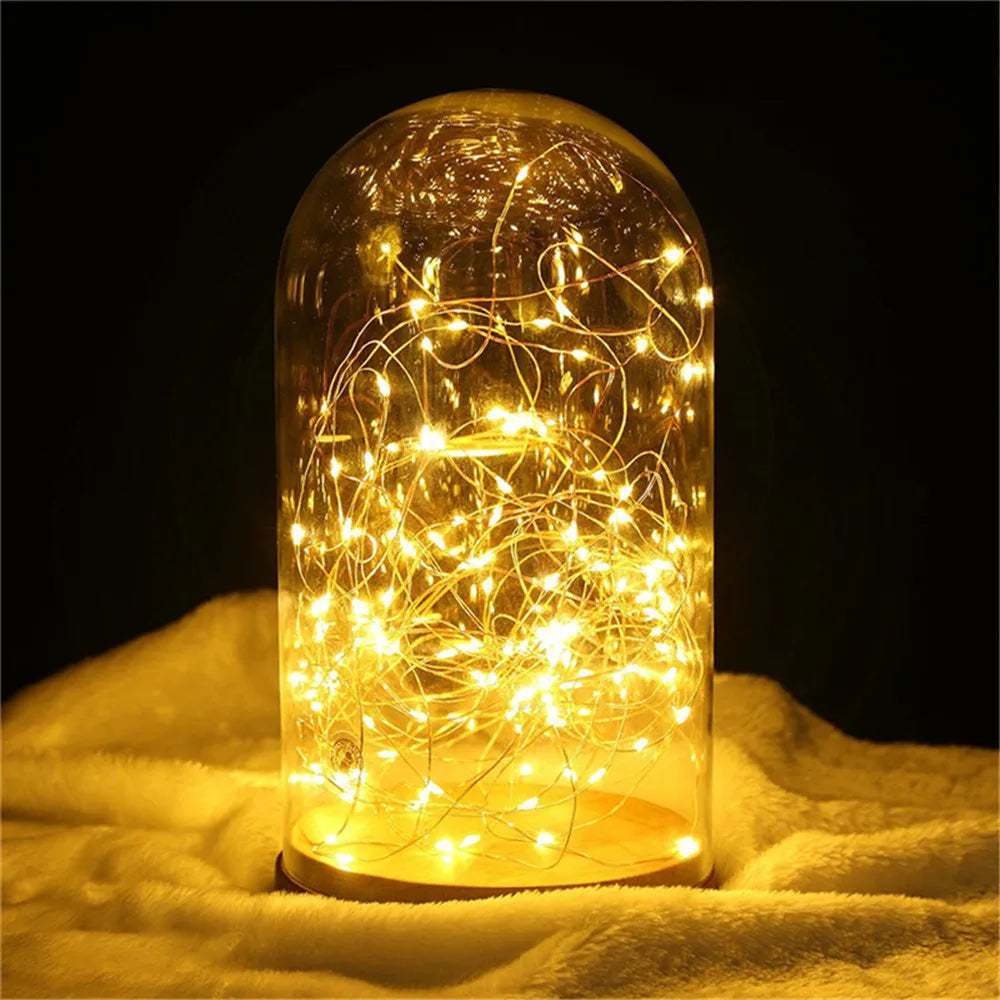 guirlande lumineuse led fil cuivre 2m 20 led multicolore blanc chaud blanc noël festive