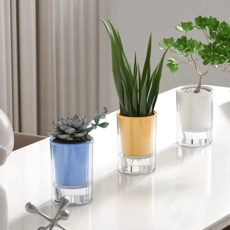 cache pot transparent moderne jaune blanc vert bleu violet adhésif intérieur maison grains colorés