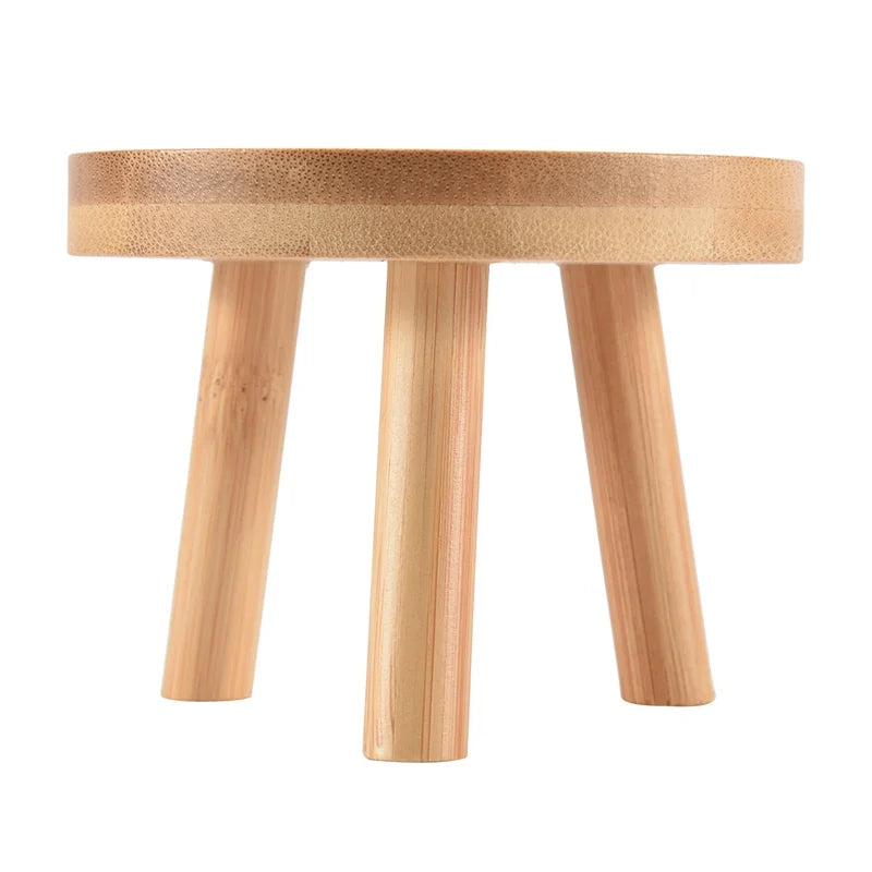support plante bois naturel minimaliste intérieur extérieur petite plante succulente moderne stable