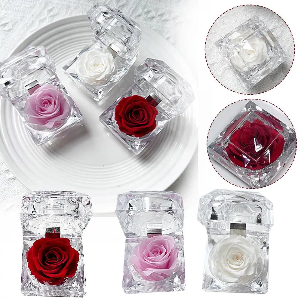boîte fleurs acrylique transparente moderne rose blanche fleur stabilisée