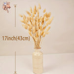 plumes séchées naturelles queue lapin décoration maison fêtes anniversaires mariage bohème rustic beige clair