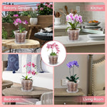 Pots fleurs transparents perforés moderne 11cm 12.5cm 14cm 15cm 17cm 5pcs