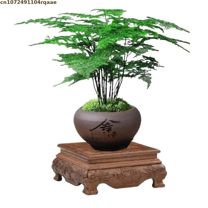 support bois sculpté classique marron foncé objets décos plantes théières figurines