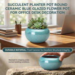 pots fleurs céramique bleu clair moderne succulentes décoration plante verte texture granuleuseintérieur brun