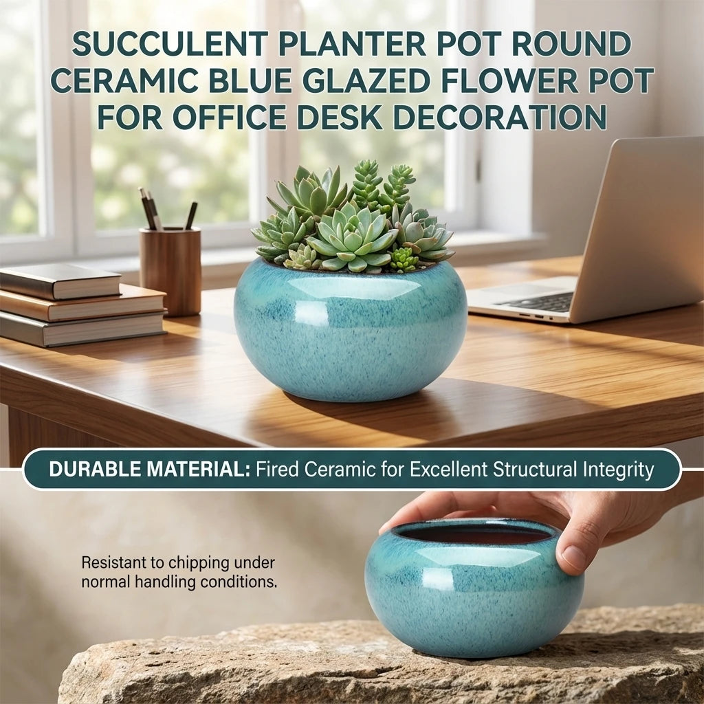pots fleurs céramique bleu clair moderne succulentes décoration plante verte texture granuleuseintérieur brun