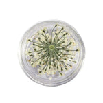 décorations nail art fleurs séchées violet rose vert rouge orange blanc naturel strass ongles