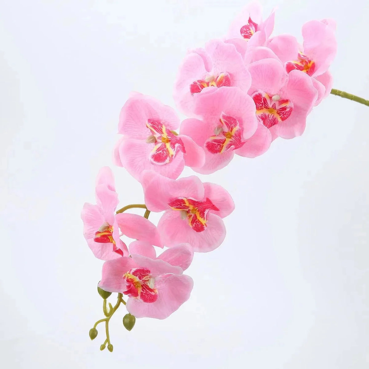 Orchidées artificielles blanc fleurissantes modernes décoration intérieure élégante vase doré maison mariage