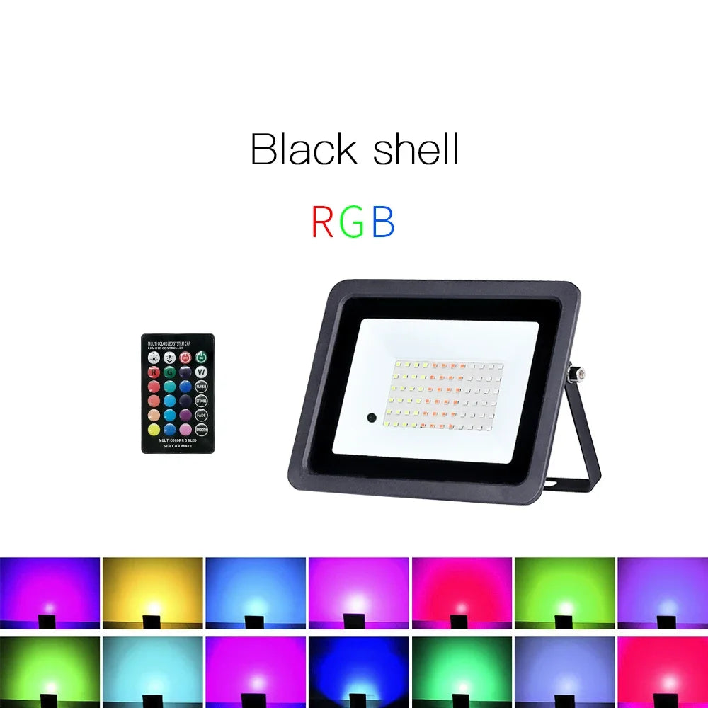 projecteur led rgb moderne télécommande certifications ip68 24v 110v 220v