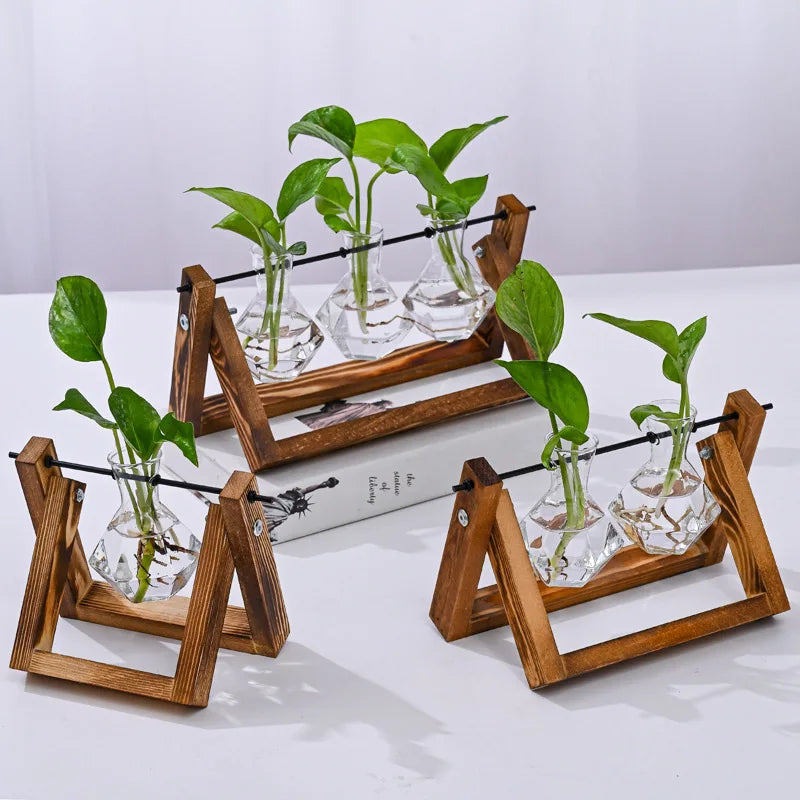 Support plantes moderne vase verre transparent bois marron clair minimaliste fixations vis vases