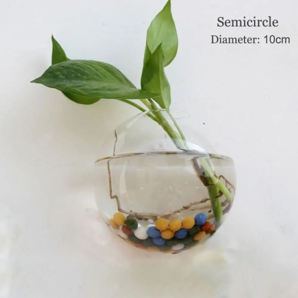 vase transparent moderne verre plante racines intérieur décoration hydroponique fleur