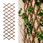 Support de plante grimpante blanc extensible