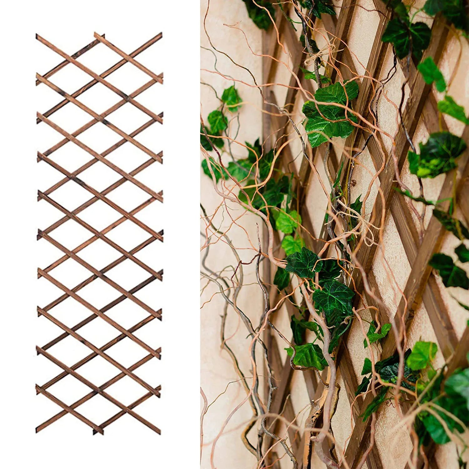 Support de plante grimpante blanc extensible