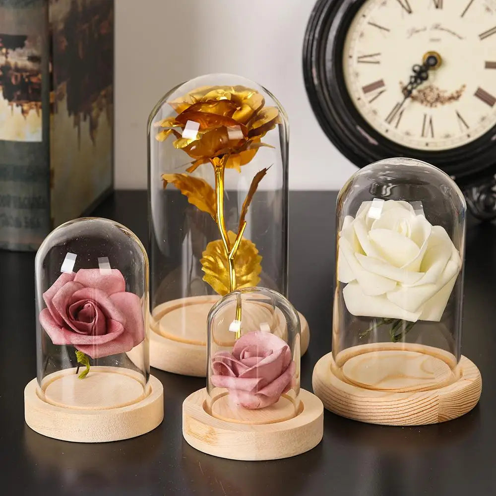 cloche verre moderne base bois transparente boîte rangement fleurs deco maison