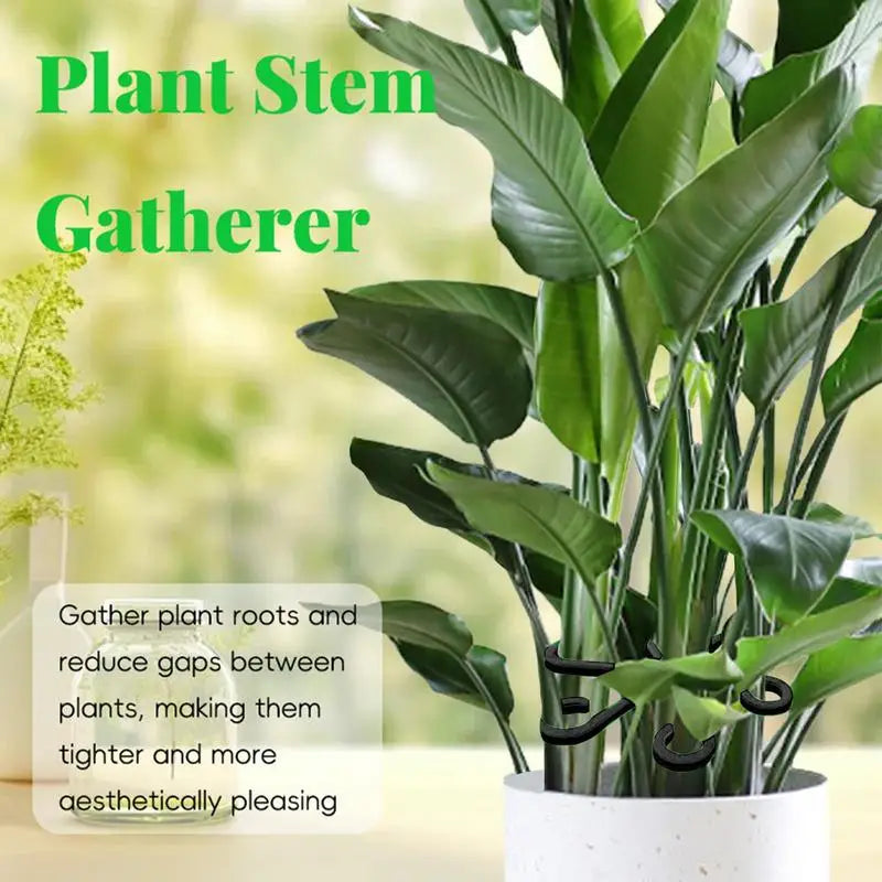 supports plantes adhésifs floral moderne noir blanc vert rose