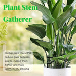 supports plantes adhésifs floral moderne noir blanc vert rose