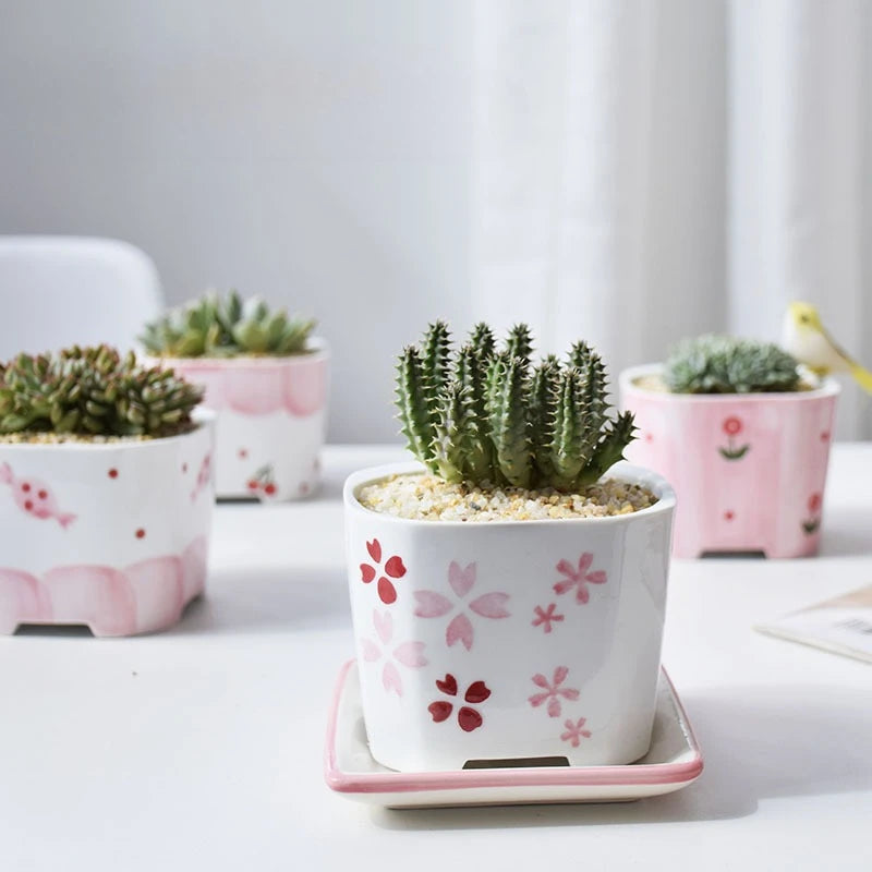 pots céramique porcelaine moderne rose blanc fleurs succulentes décoration plantes vertes ornement maison
