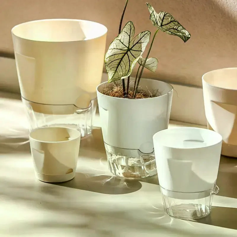 pots plantes auto arrosants intérieur plastique blanc beige gris transparent