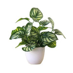 plantes artificielles vertes bonsaï ornement accessoires photo scindapsus pot rotin extérieur moderne