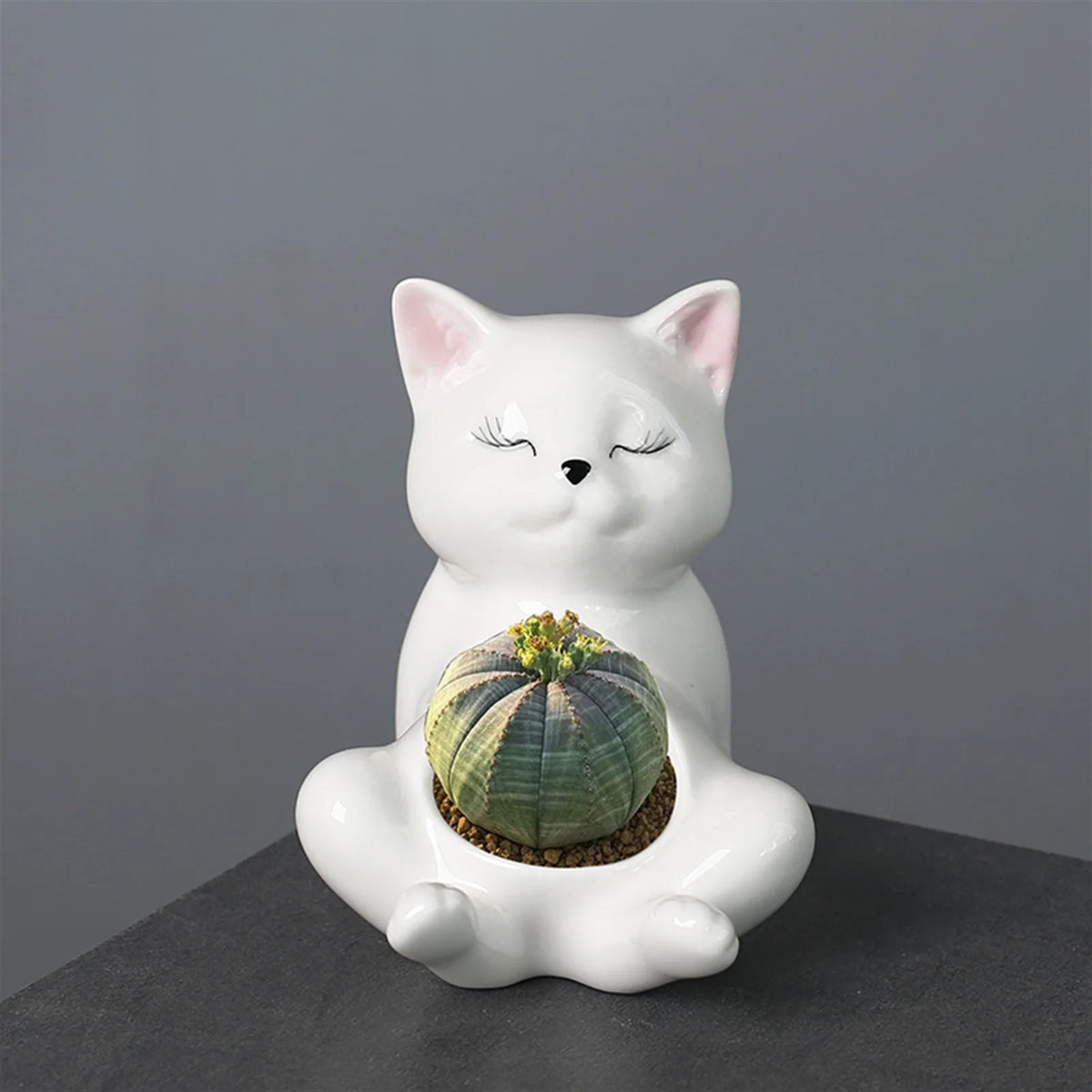pots céramique porcelaine blanc cactus succulentes manga mignon zenintérieurextérieurvaseglacébrillant