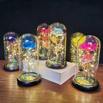 veilleuse led rose artificielle cloche verre éclairage couleur variée base noire
